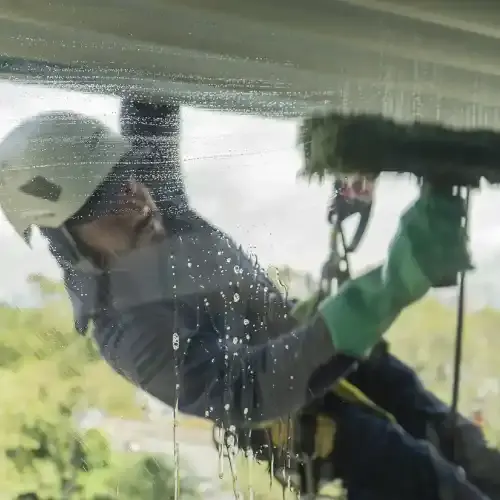 Imagen de Cleaning